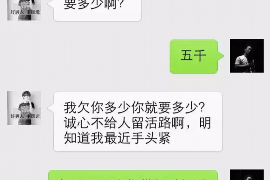 吴桥专业讨债公司，追讨消失的老赖